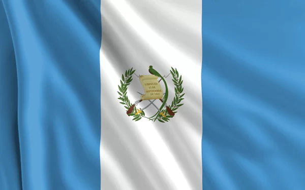 Transporte Marítimo de USA a Guatemala